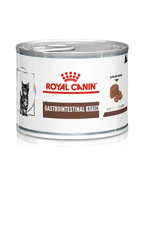    - Cat food for picky eaters  ROYAL CANIN® Gastrointestinal Kitten Wet Cat Food